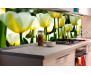 Samolepicí fototapeta k lince White Tulips, Bílé tulipány